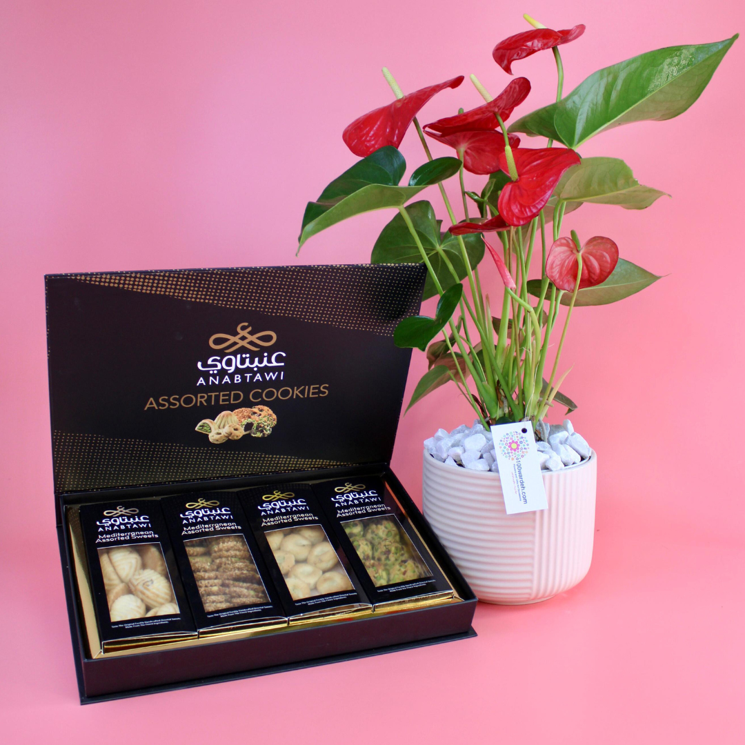 Anabtawi Sweet Delight Set