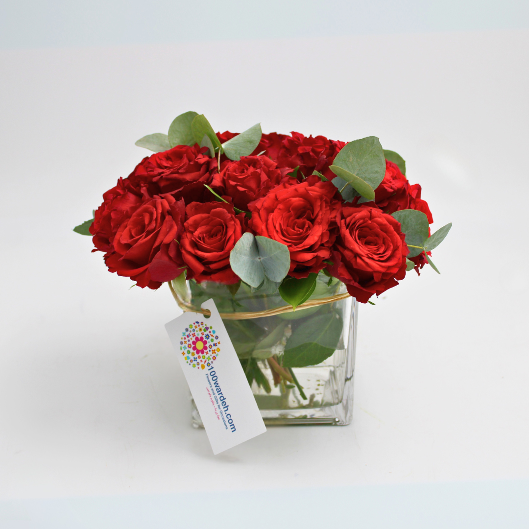 cube red roses vase