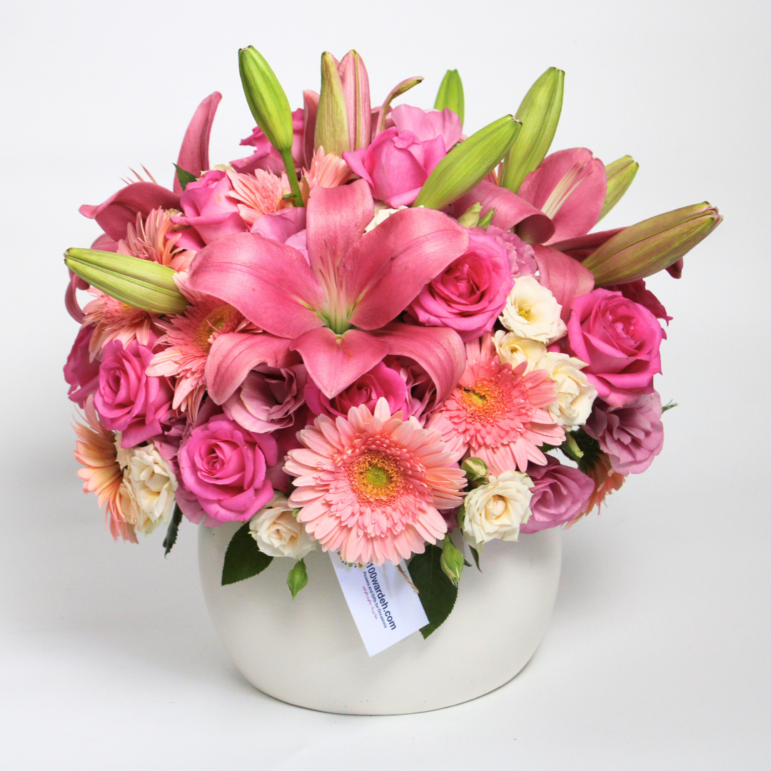 Pink Dream Pot