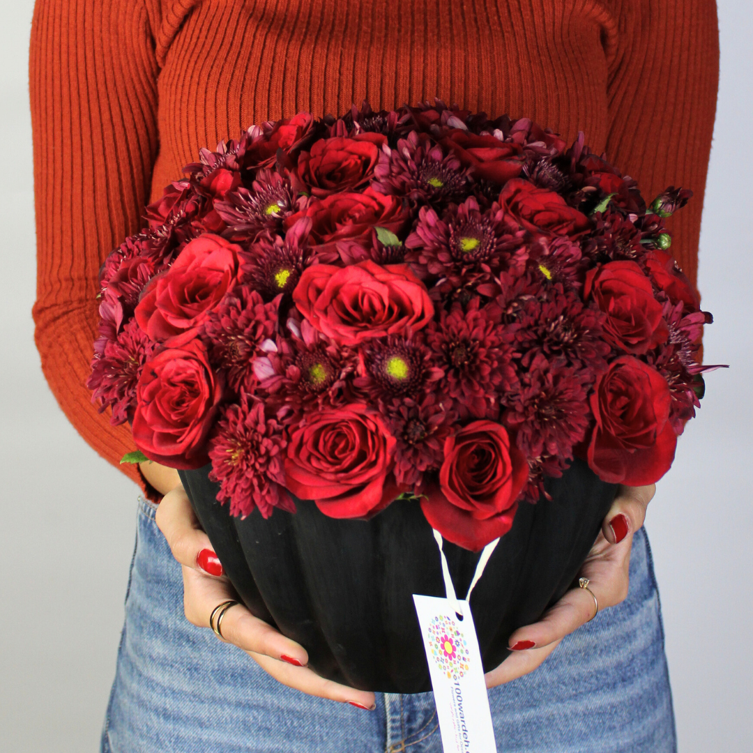Scarlet elegance